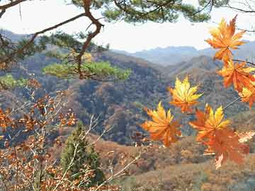 基ZZ最新地址揭秘，前沿科技的新领地探索