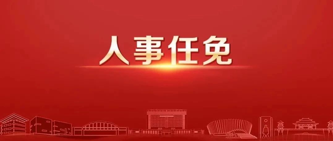 东阳最新人事任免概览，领导层变动解析