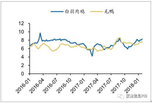 最新鸡蛋价格走势解析