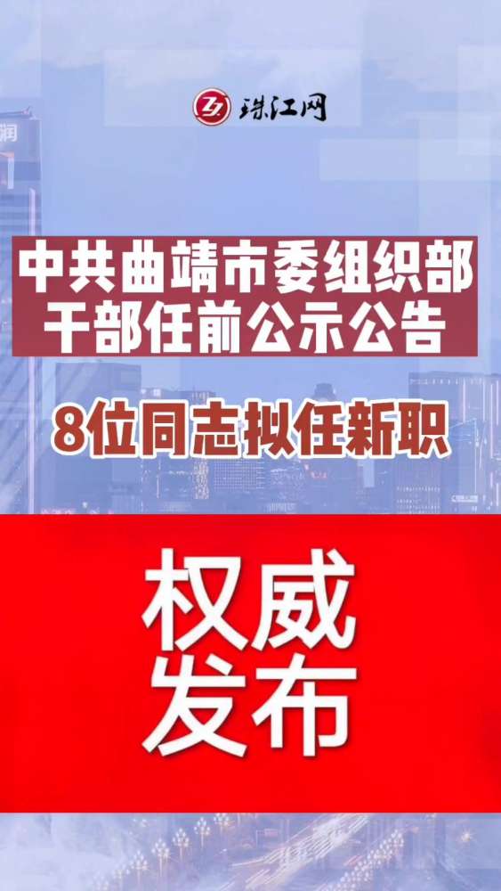 曲靖最新人事任免动态概览